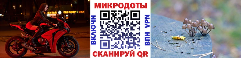 Псилоцибиновые грибы GOLDEN TEACHER  Асино 