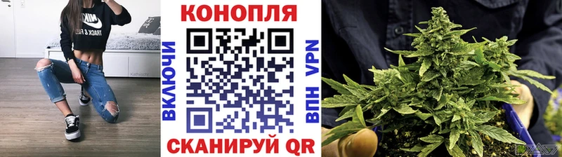 Бошки Шишки AK-47  магазин    кракен вход  Асино 